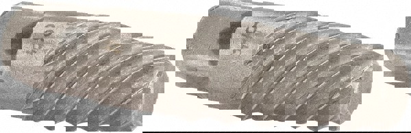 Spiral Flute Screw Extractor: Size #8, for 1-1/8 to 1-3/8